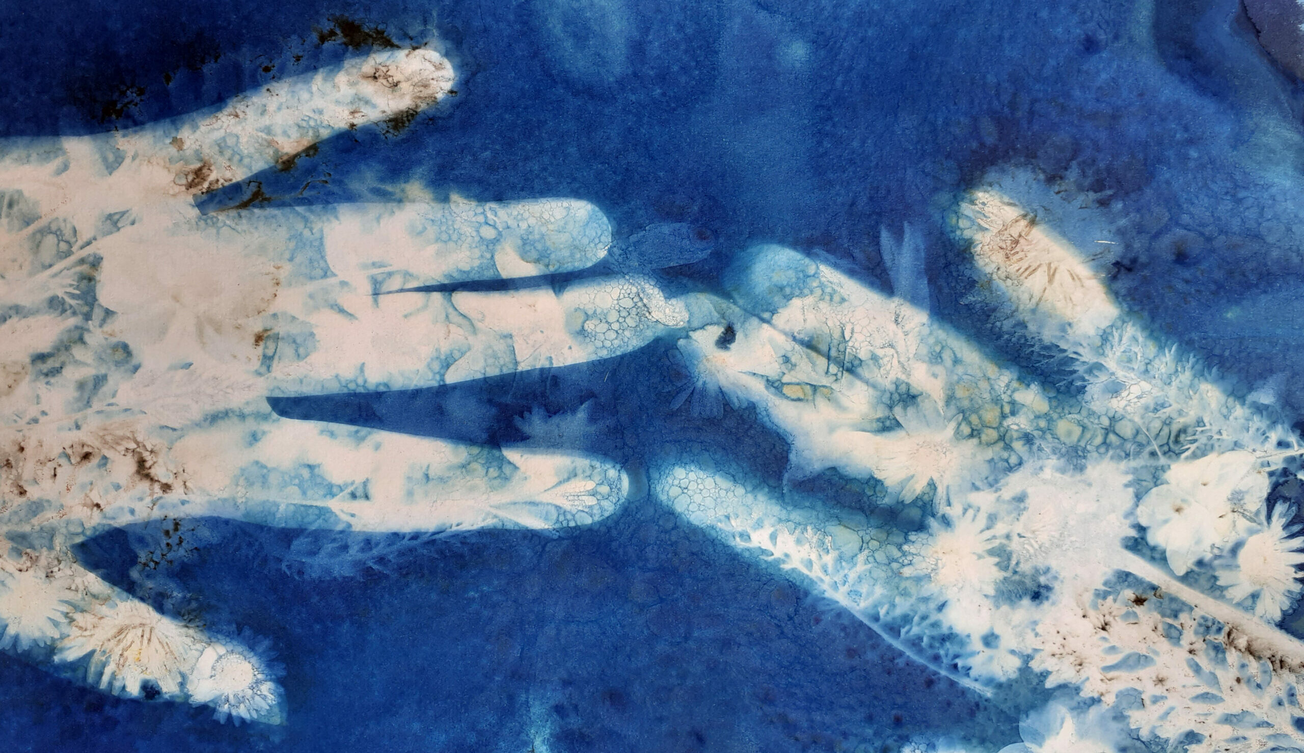 Stamford Connection cyanotype hands print